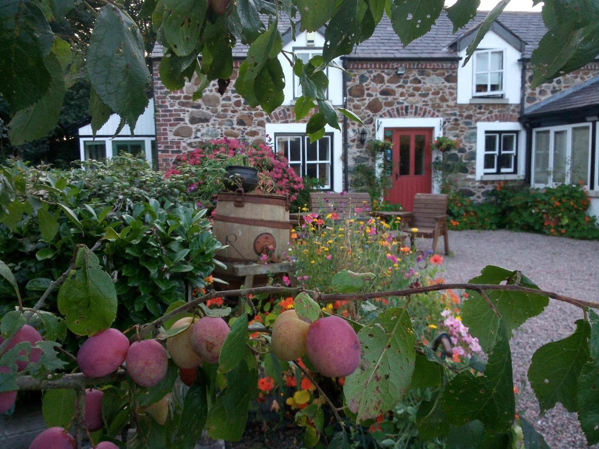 Berwick Hall Cottage Moira  Екстер'єр фото